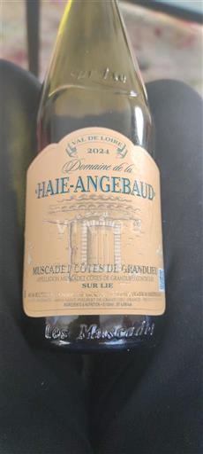 Thung lũng sông Loire Muscadet-côtes-de-grand-lieu Domaine La Haie-Angebaud 2024
