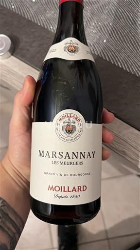 Bourgondië Marsannay Moillard Les Meurgers 2022