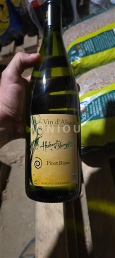 Alsazia Hubert Blumstein 2023