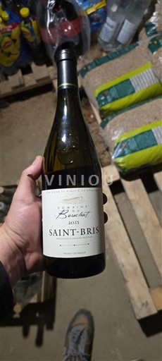 Bourgogne Saint-Bris Domaine Bersan 2023