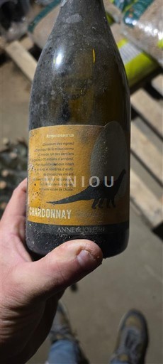 Jura Côtes-du-jura Anne & Jean-François Ganevat Les dinosaures 2022