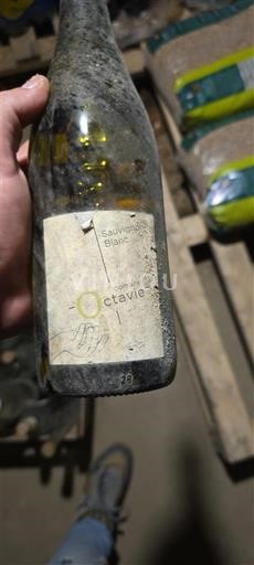 Údolí Loiry Touraine Domaine Octavie Sauvignon Blanc 2022