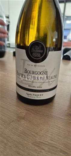 Borgogna Hautes Côtes de Beaune Agnès Paquet Ex Professo Onima 2022
