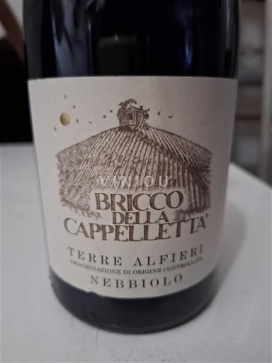 Piedmont Wines Unspecified Bricco della Cappelletta 2015