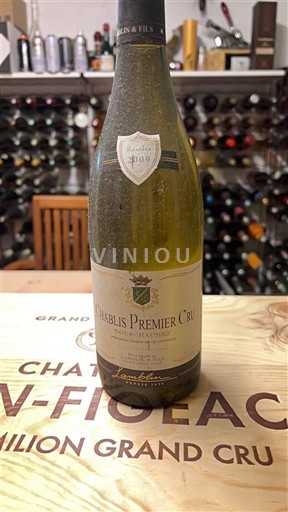 Bourgogne Chablis Premier Cru Jean-Marc Brocard 2009