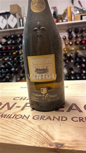 Valle della Loira Muscadet Sèvre et Maine Château Briacé Sélection Guillaume 2006