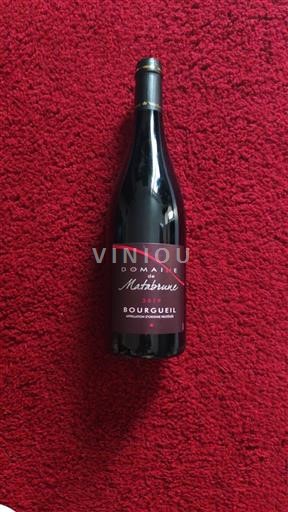 Loirevallei Bourgueil Domaine Mabileau 2019
