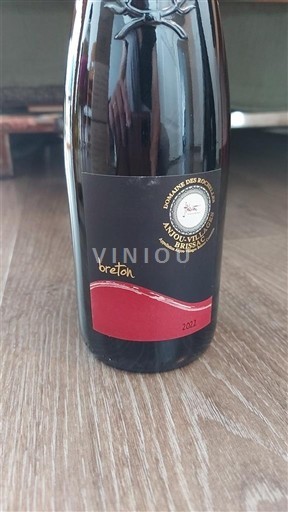 Vallée de la Loire Saumur-champigny Domaine Des Roches Neuves Roches 2021