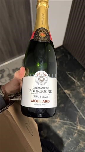 Borgogna Crémant di Borgogna Moillard 2023