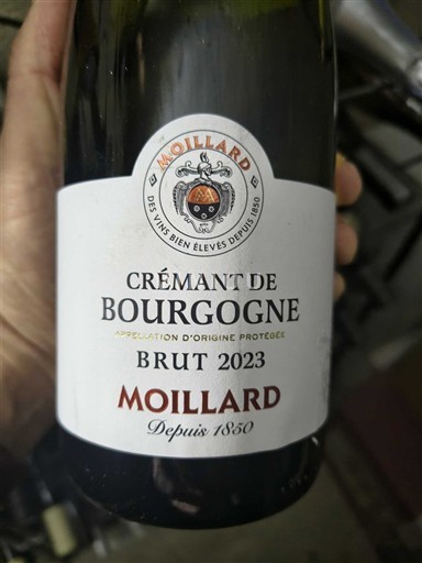 Burgund Crémant de Bourgogne Moillard 2023