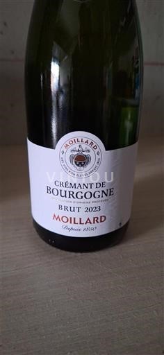 Borgoña Crémant de Borgoña Moillard 2023