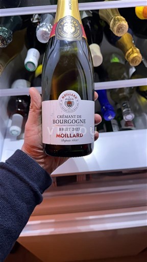 Burgundia Crémant de Bourgogne Moillard 2023