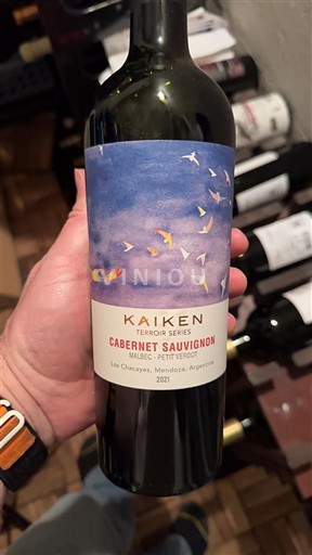 Mendoza Non specificato Kaiken Terroir Series 2022