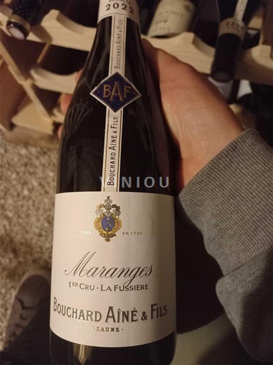 Bourgogne Maranges Premier Cru Bouchard Aîné & Fils La Fussière 2022