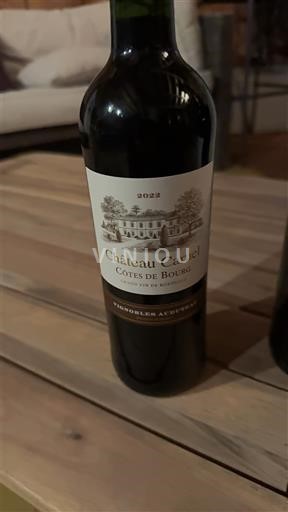 Burdeos Côtes-de-bourg Château Caruel 2022