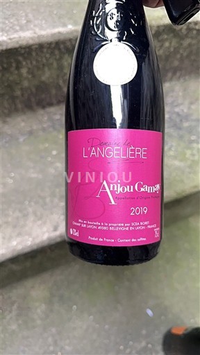 Thung lũng sông Loire Anjou-gamay Domaine L'Angelière 2019