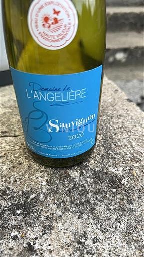 Dolina Loare Domaine L'Angelière Sauvignon 2020