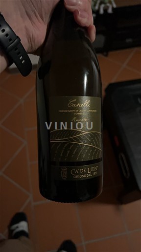 Piedmont Wines Unspecified Ca' de Lion 2024
