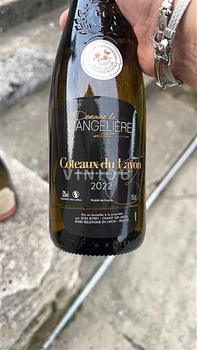 Vale do Loire Coteaux-du-layon Domaine L'Angelière 2022