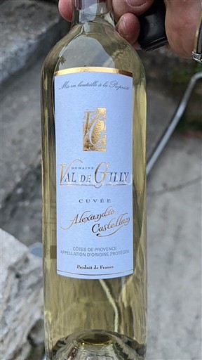 Provansa Côtes-de-Provence Domaine Val de Gilly Alexandre Castellou Neleten.