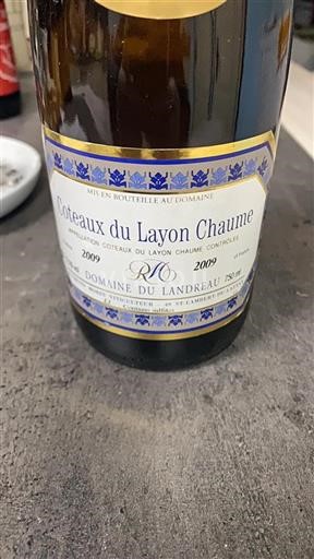 Vallée de la Loire Domaine Landreau 2009