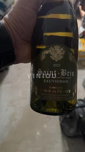 Burgund Saint-Bris Domaine Sorin de France 2023