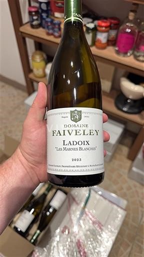 Borgonha Ladoix Domaine Faiveley Les Marnes Blanches 2023