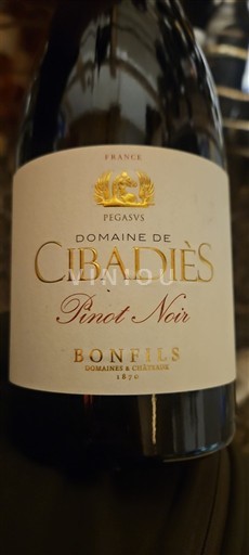 Languedoc-Roussillon Pays d'Oc Domaine Cibadiès Pinot Noir 2024