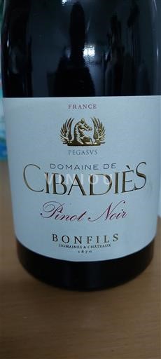 Languedoc và Roussillon Vùng đất Oc Domaine Cibadiès Pinot Noir 2024