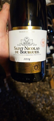 Valle della Loira Saint-Nicolas-De-Bourgueil Prahecq 2024