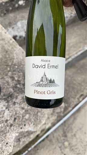 Alsazia Pinot grigio David Ermel Pinot Gris 2021