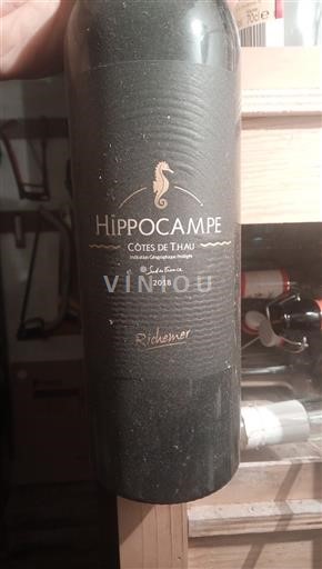 Languedoc ja Roussillon Thau Rannikon Viinit Richemer Hippocampe 2018