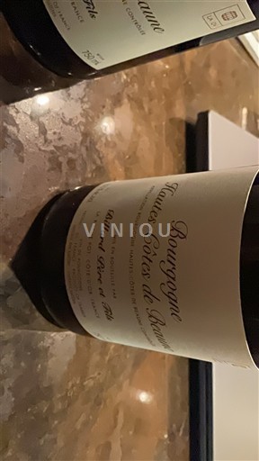 Bourgogne Hautes Côtes de Beaune Domaine Bernard Rion Không niên vụ