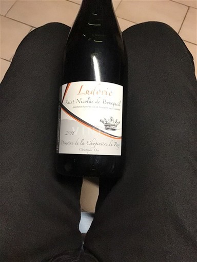 Thung lũng sông Loire Saint-Nicolas-De-Bourgueil Domaine La Chopinière du Roy Ludovic 2018