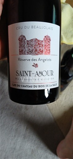 Beaujolais Saint-Amour Château Bois de la Salle Réserve des Angelots Non-Vintage