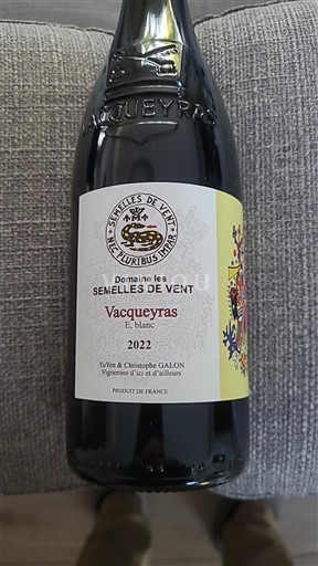 Valle del Ródano Vacqueyras Domaine Les Semelles de Vent 2022