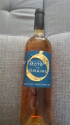 Linguadoca Moscato di Frontignan Muté sur Grains Senza annata
