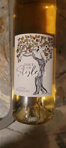 Rhônedalen Côtes du Rhône Corinne Depeyre Tout un Style 2023