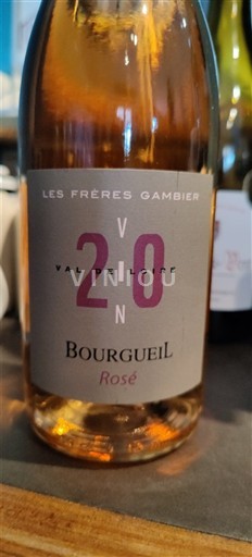Valle della Loira Bourgueil Les Frères Gambier 2020