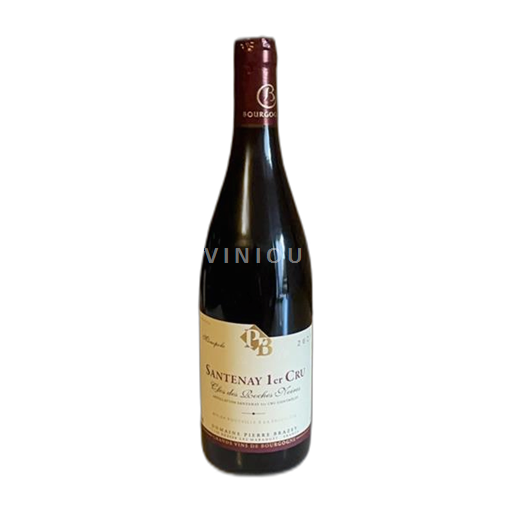 Bourgogne Santenay Premier Cru Domaine Pierre Brazey Clos des Roches Viennes 2023