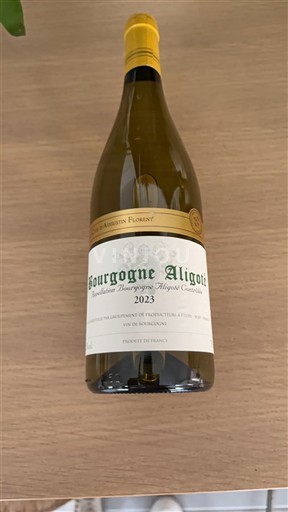 Borgogna Borgogna Aligoté Jean-Audustin Florent 2023
