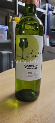 Sudoeste Côtes de Gascogne Rigal L'Instant Sin añada