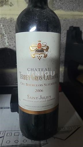 Bordeaux Saint-Julien Château Terrey-Gros-Cailloux 2006