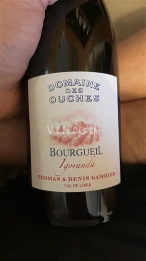 Vallée de la Loire Bourgueil Domaine des Ouches Igoranda 2021