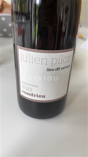 Vale do Ródano Condrieu Julien Pilon Lieu-dit Vernon 2023
