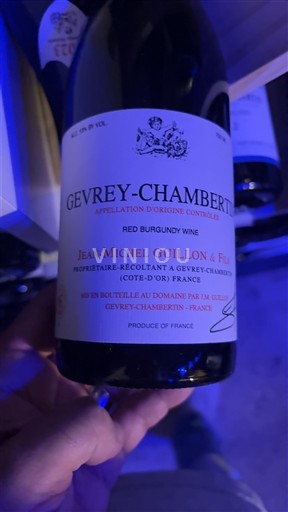 Vin Rouge sec Jean-Michel Guillon & Fils 2023 France Bourgogne Gevrey-chambertin AOC