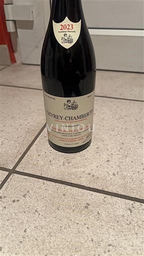 Burgundsko Gevrey-Chambertin Jean-Michel Guillon & Fils 2023