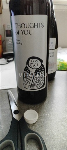 Stefan Voda Thoughts of You Rhein riesling 2019