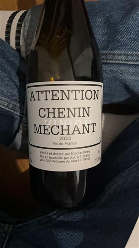 Loiren laakso Määrittelemätön Nicolas Reau Attention Chenin Méchant 2023