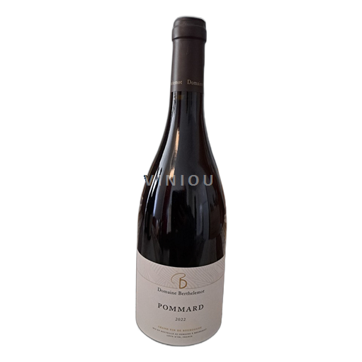 Burgundi Pommard Domaine Berthelemot 2022